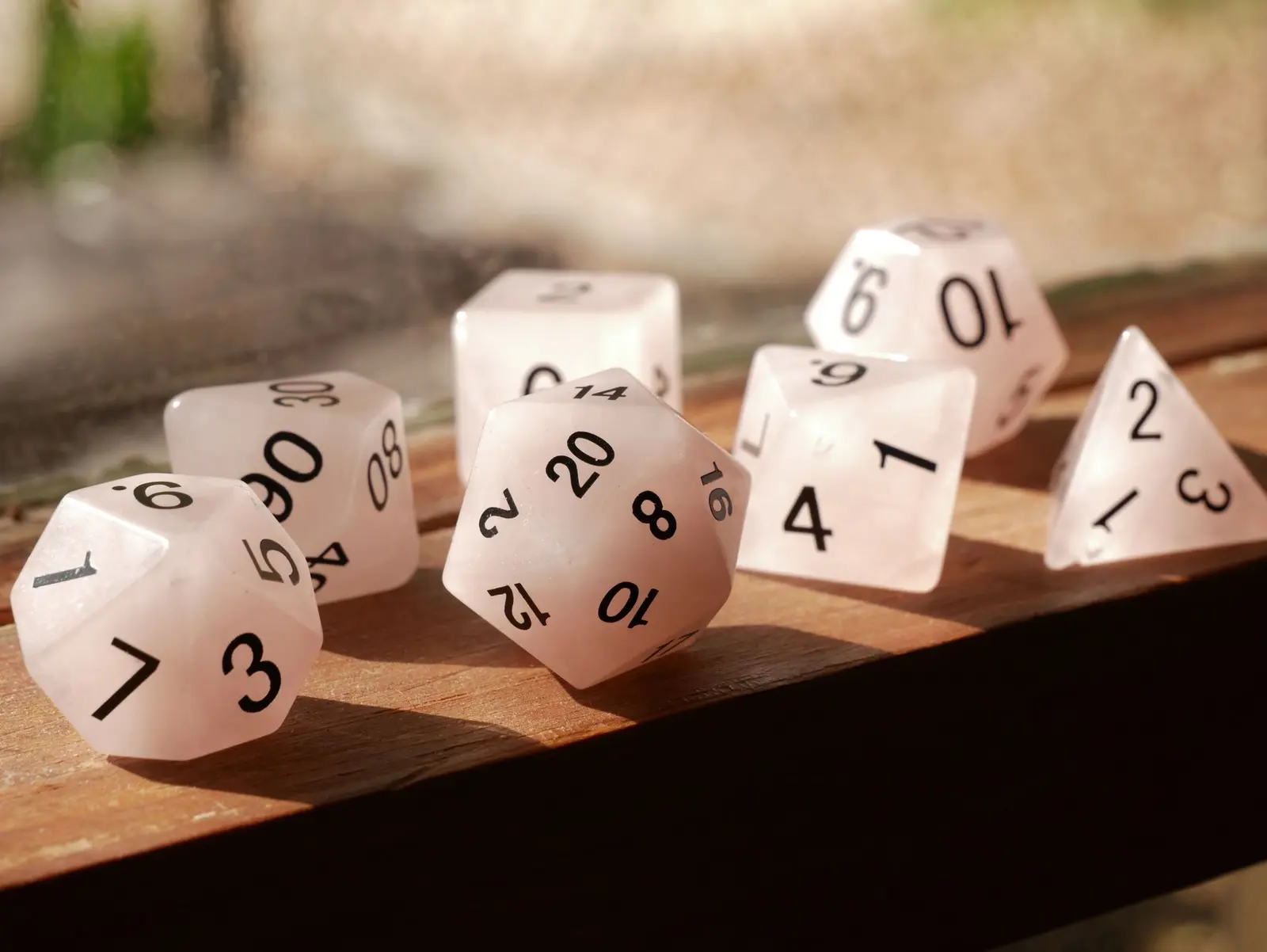 Dice and rulebooks on the table